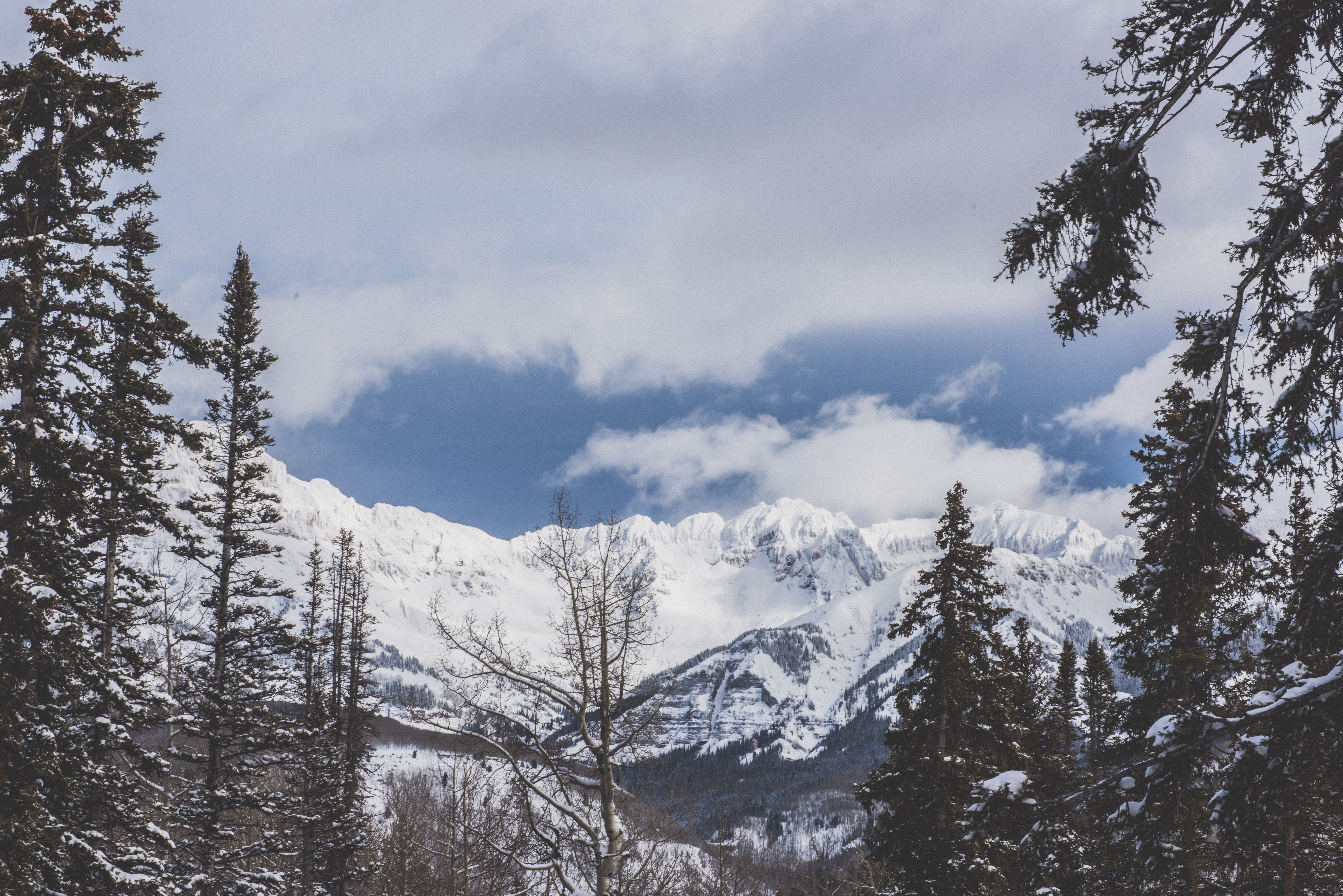 Telluride View